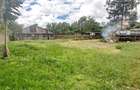 0.5 ac Land in Thome - 5