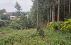 0.25 ac Land in Ruaka - 9