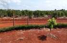 10,000 ft² Residential Land in Kenyatta Road - 3