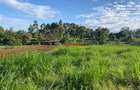 6,000 m² Land in Limuru - 3