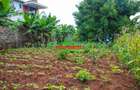0.1 ha Residential Land at Thogoto - 4