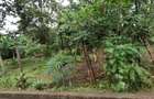 0.5 ac Land at Nandi Road - 3