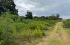 20 ac Land in Vipingo - 3