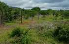 10.8 ac Land at Baolala Town - 9