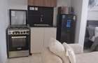 Studio Apartment with En Suite in Naivasha Road - 2