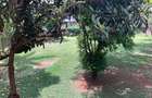 5 Bed House with En Suite in Gigiri - 6