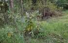 0.5 ac Residential Land in Karen - 6