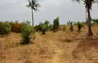 Land in Kilifi - 8