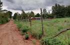 0.05 ha Land in Kikuyu Town - 4