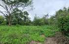 6 ac Land at Mtwapa Creekside - 19