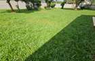 5 Bed House with En Suite in Loresho - 9