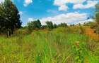 500 m² Residential Land at Kwa-Ngando Area - 11