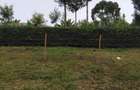 Land in Ngong - 1