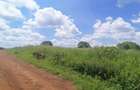 25 ac Land at Off Paradise Lost Road - 2