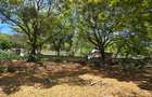 1 ac Land at Hemingways - 7