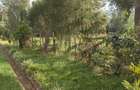 Residential Land in Garden Estate - 5