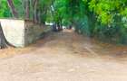 40 ac Land at Vipingo Kuruwitu - 8