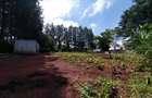 Residential Land at Kirawa Road - 14