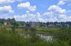 0.5 ac Commercial Land in Tatu City - 9