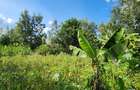0.202 ha Residential Land at Rimpa - 12