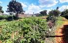 Land in Ruaka - 1