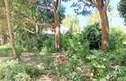 Land at Mtwapa - 14