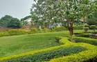 3 Bed House with En Suite at Nyari - 3