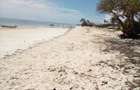25 ac Land at Kikambala Beach - 2