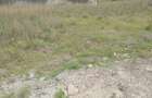 Residential Land at Karen Langata Road - 5