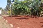 0.25 ac Land at Ruaka - 4