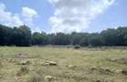 1,000 m² Residential Land at Vipingo - Kuruwitu - 18