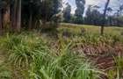 Land at Kibirichia - 3