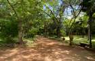 3 ac Land in Vipingo - 13