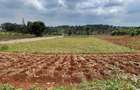 0.74 ac Land at Kiganjo Junction - 1