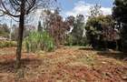 0.5 ac Residential Land at Muthithi Estate - 4