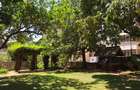 0.5 ac Commercial Land at 1St Avenue - 2