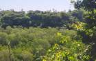 Land in Kilifi County - 11