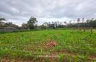 0.5 ac Land in Ridgeways - 1