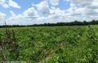 10 ac Land at Isinya - 16