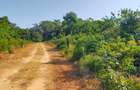 Land in Vipingo - 11