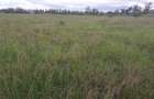 0.25 ac Land in Ongata Rongai - 12