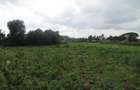 7.5 ac Land at Kikuyu Town - 11