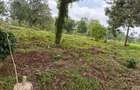 0.25 ac Commercial Land in Kiambu Road - 15