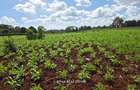 10 ac Land at New Kitisuru - 6
