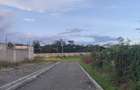 0.5 ac Land at Mokoyeti Road - 2