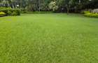 4 Bed House with En Suite at Old Muthaiga - 3