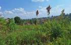 0.25 ac Land at Muthiga - 6