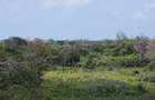 1,012 m² Residential Land at Diani Beach Road - 12