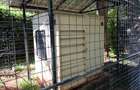 4 Bed House with En Suite in Karen - 8