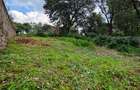 Land in Kitisuru - 4